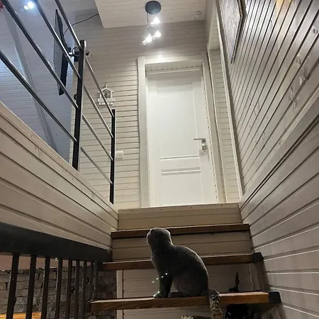 мелодія карпат Apartment *