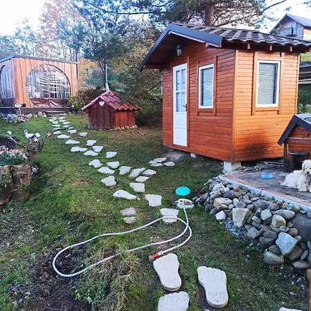 Apartment мелодія карпат *